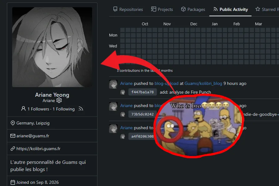 who_is_bro